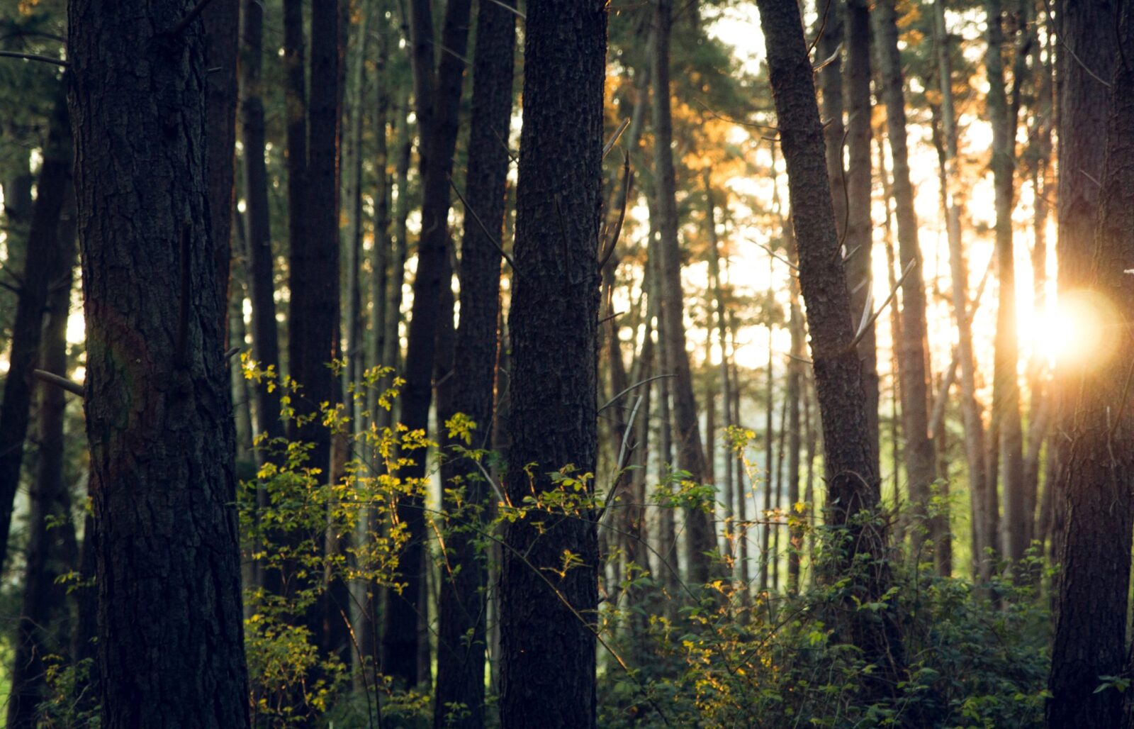 Wilson Wraight welcomes Honor Eldridge to the team