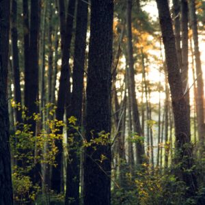 Wilson Wraight welcomes Honor Eldridge to the team